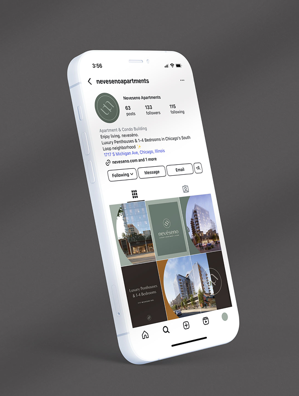chicago-neveseno-1717-s-michigan-instagram-grid